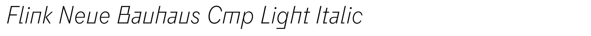 Flink Neue Bauhaus Cmp Light Italic image
